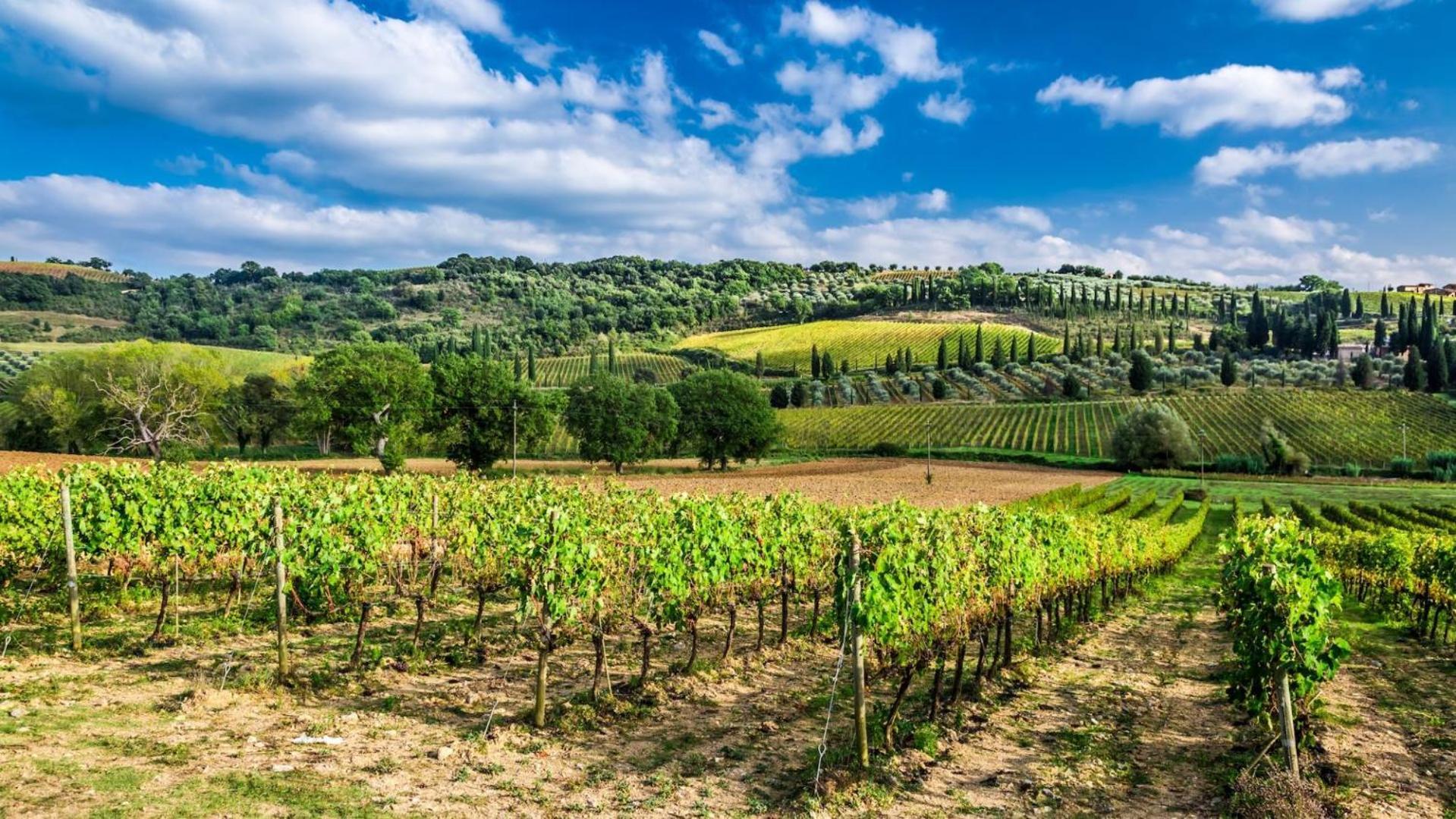 Terre Gialle - La Val D'Orcia Nascosta Castel del Piano  Eksteriør bilde