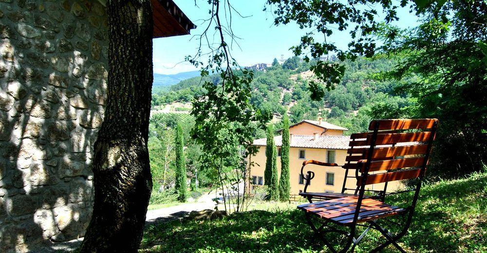 Terre Gialle - La Val D'Orcia Nascosta Castel del Piano  Eksteriør bilde