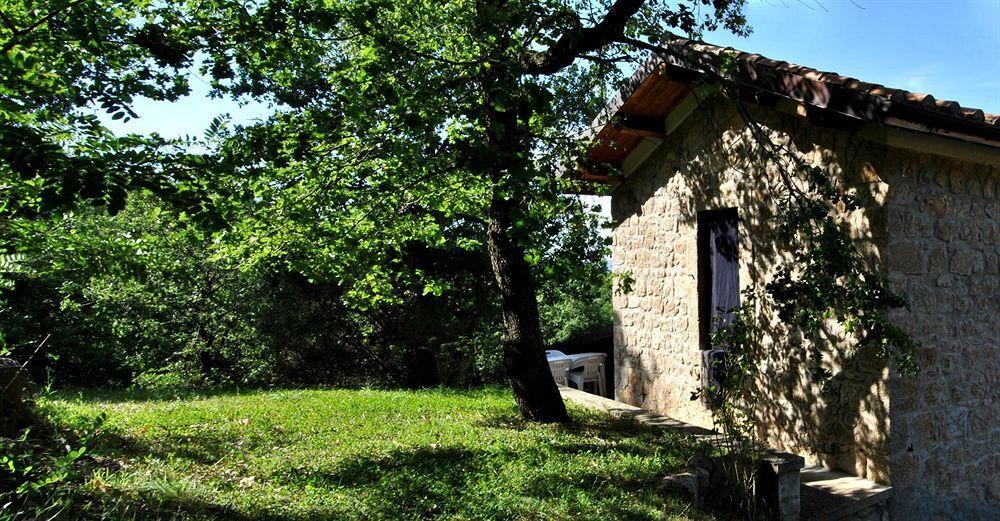 Terre Gialle - La Val D'Orcia Nascosta Castel del Piano  Eksteriør bilde