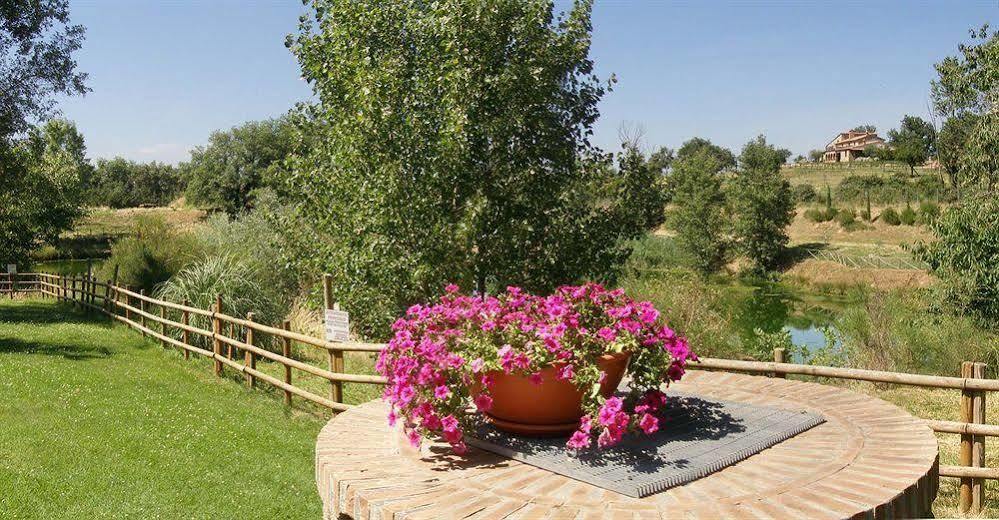 Terre Gialle - La Val D'Orcia Nascosta Castel del Piano  Eksteriør bilde