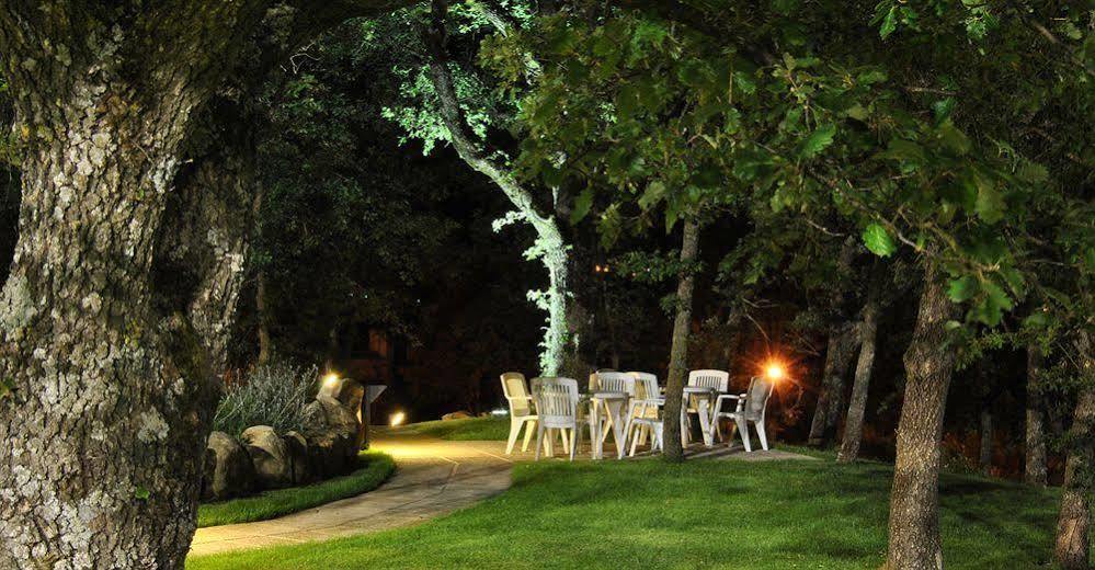 Terre Gialle - La Val D'Orcia Nascosta Castel del Piano  Eksteriør bilde